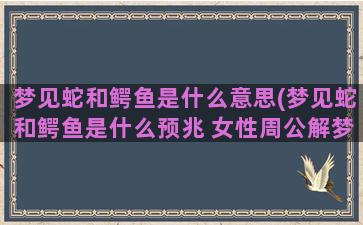 梦见蛇和鳄鱼是什么意思(梦见蛇和鳄鱼是什么预兆 女性周公解梦)